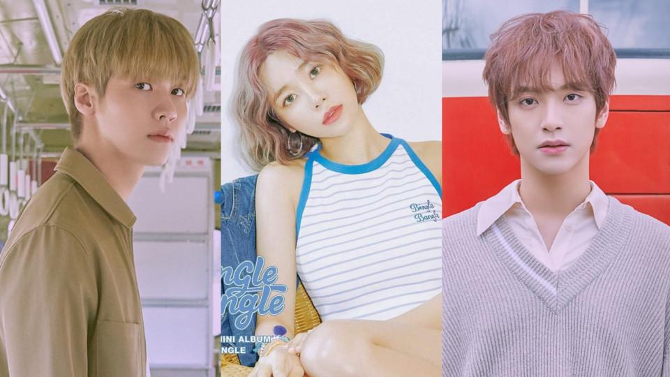 AOA真人网站：探索真实互动的AOA在线娱乐平台